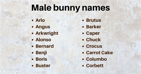 450+ Adorably Unique Bunny Names You'll Love