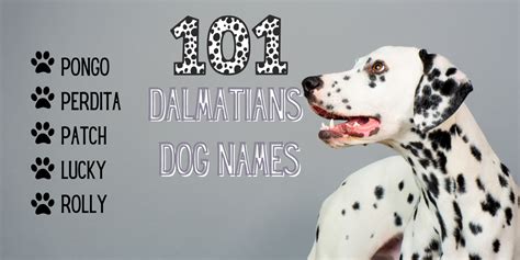 Do All 101 Dalmatians Have Names