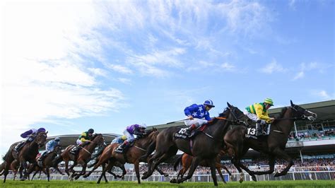 Tips and previews: Galway Festival Day 6