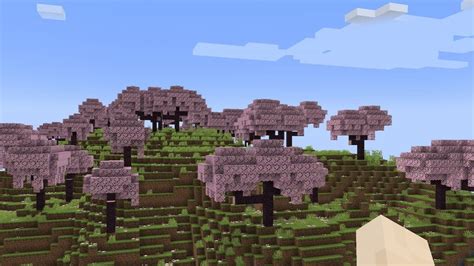 How to Find Cherry Blossom Biome in Minecraft