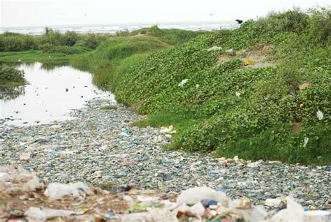 The Sea and the Sea of Garbage - Pakistan - DAWN.COM