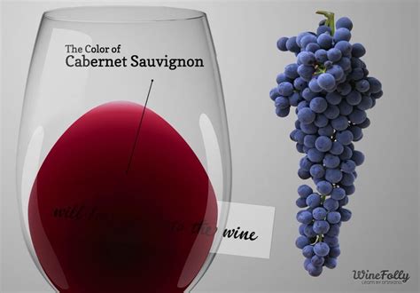 Cabernet Sauvignon - Alchetron, The Free Social Encyclopedia