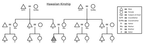 Hawaiian kinship Facts for Kids