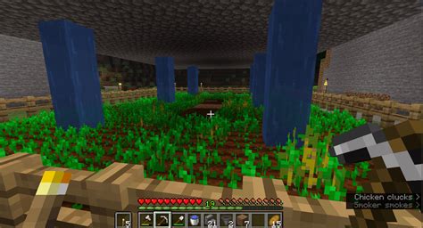 Why i cant plant seeds here? : r/Minecraft