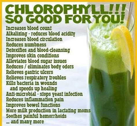 Health benefits of chlorophyll | Chlorophyll benefits, Chlorophyll, Health