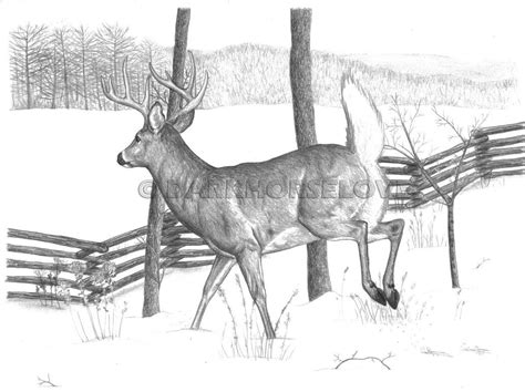 Deer Hunting Drawings