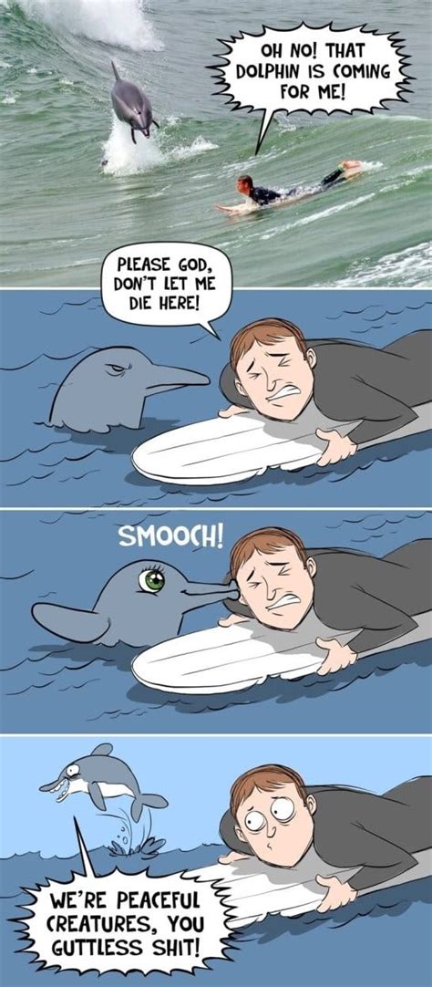 Funny-Dolphins-MEMES.jpg