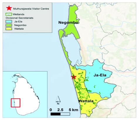 Map showing the Muthurajawela Wetland and Negombo Lagoon. The area... | Download Scientific Diagram