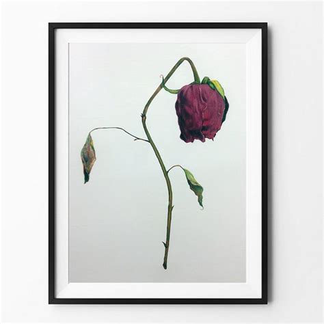 Dead Rose Drawing Fine Art Print/Poster by PortraitSociety