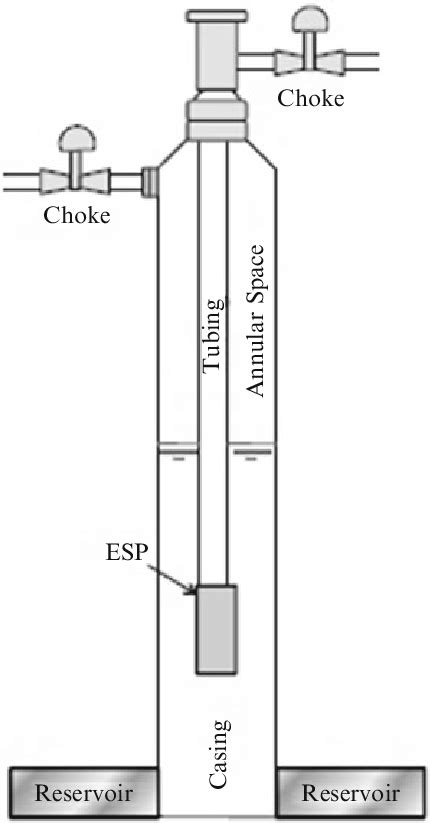 5 Reservoir-casing-tubing-annular space model | Download Scientific Diagram