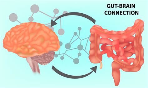 History and Evolution of Disorders of Gut-Brain Interaction and the ...