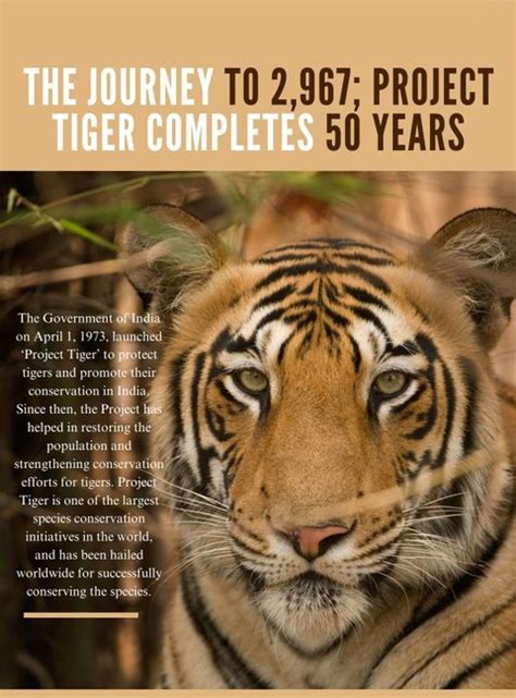 Tiger Conservation Efforts – Project Tiger, etc. - Civilsdaily