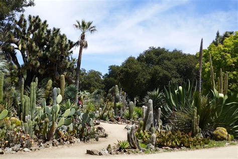 Cactus Garden, Stanford University | Ali Eminov | Flickr