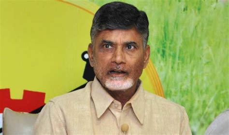 Chandrababu visits flood affected areas in Nellore district