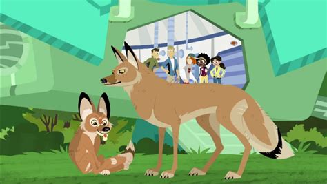 Adapto the Coyote | Wild Kratts Wiki | Fandom