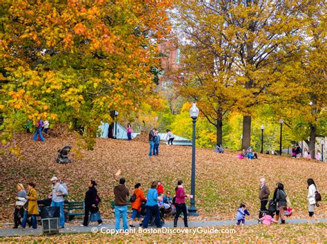 Boston Fall Foliage 2024 - 11 Best Places to See It - Boston Discovery ...