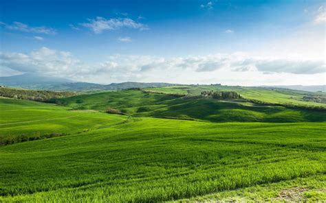 Serene Green Hills: HD Wallpaper of Nature's Landscape