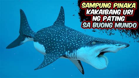 SAMPUNG PINAKA KAKAIBANG URI NG PATING SA BUONG MUNDO | Top 10 Most Rare Shark Species in the ...