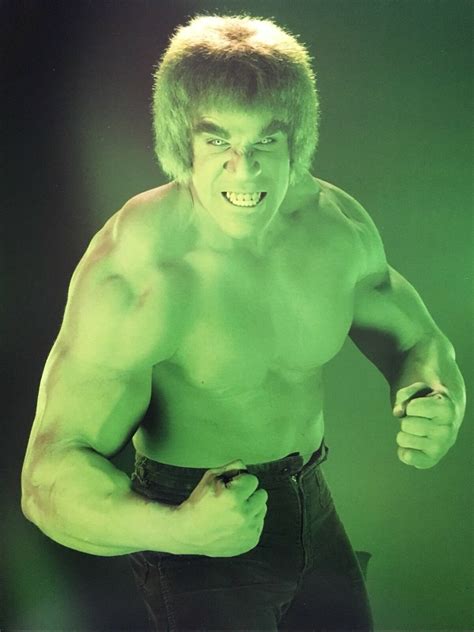 379551 LOU FERRIGNO The Incredible Hulk Tv Series Wall Print Poster Us EUR 15,61 - PicClick FR