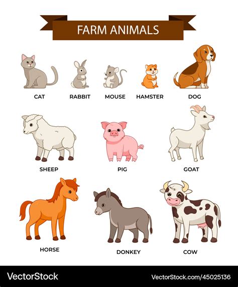 Farm animals set Royalty Free Vector Image - VectorStock