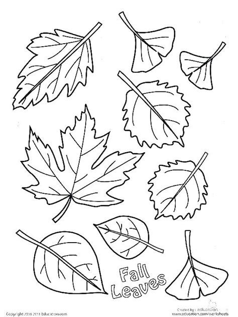 Sugar Maple Leaf Drawing at PaintingValley.com | Explore collection of Sugar Maple Leaf Drawing