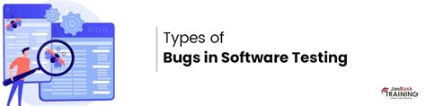 Software bugs, bugs in software, software development issues