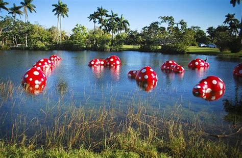 Right by the main entrance of Fairchild Tropical Botanic Garden near the hibiscus collection can ...