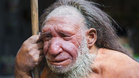 Büyük burunların sebebi belli oldu: Neandertal’ler - BİLİMSEL ARAŞTIRMA