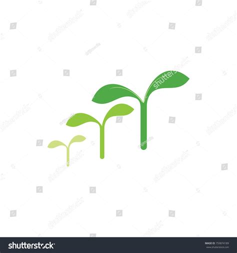 Growth Seed Logo Design Vector Stock Vector (Royalty Free) 759874189 ...