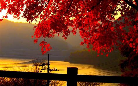 Autumn Landscape Wallpaper - WallpaperSafari