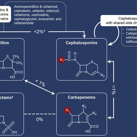 Beta-lactam structure and cross-reactivity examples. Beta-lactam ...