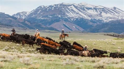 The famous Pitchfork Ranch in Wyoming has hit the market - RFD-TV