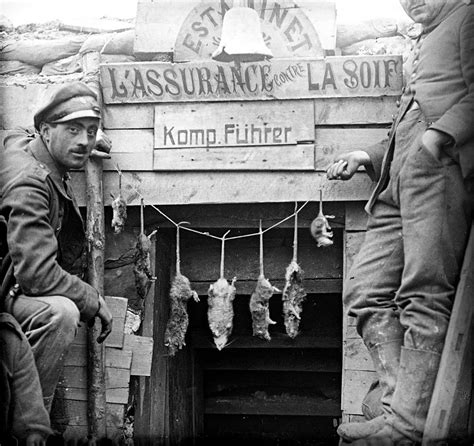 Incredible Photographs Capture Trench Rats Killed by Terriers During World War I ~ Vintage Everyday