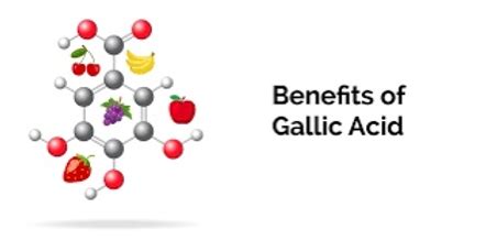 Ellagic Acid Benefits