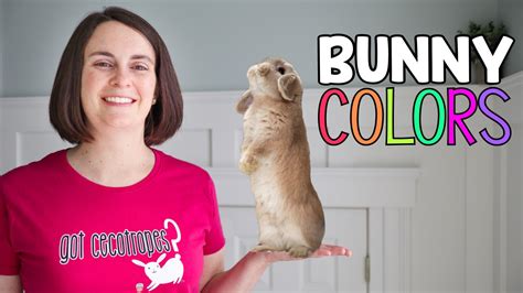 Rabbit Color Genetics: The Complete Guide