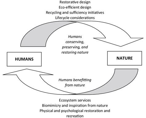 Bidirectional relationships for green ergonomics. | Download Scientific ...