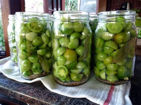 23 Of the Best Ideas for Canning Green tomato - Home, Family, Style and ...