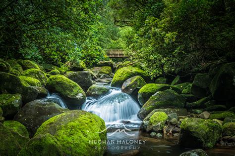 New Zealand's Best Waterfalls - Northland & Waikato