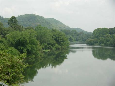 About Periyar River, Information, Location, Origin, Importance