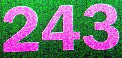 NumberADay: 243