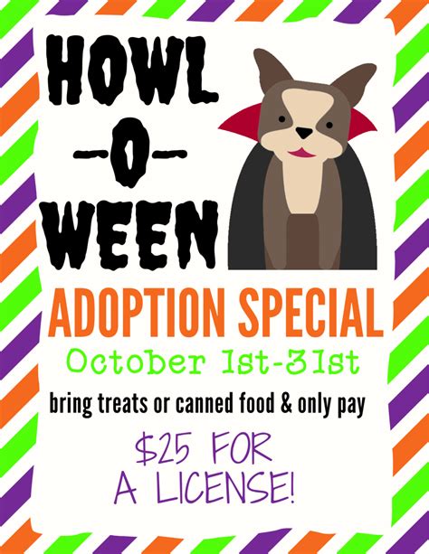 Halloween Adoption Special - Lucas County Canine Care & Control