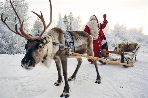 Uber Sleigh Is Bringing Reindeer Rides to Finland for Free — How to Book