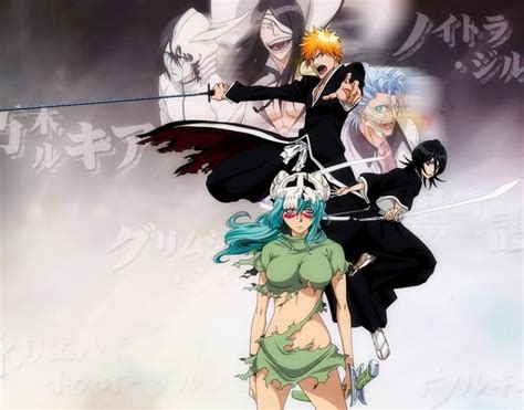 Espada and Ichigo - The Espada Photo (13662592) - Fanpop