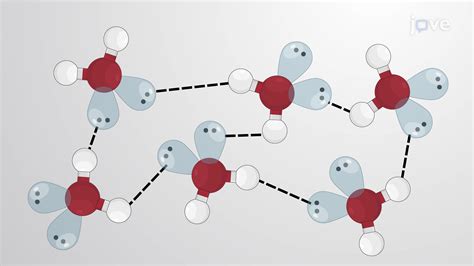 Hydrogen Bonds - Concept | Anatomy and Physiology | JoVe