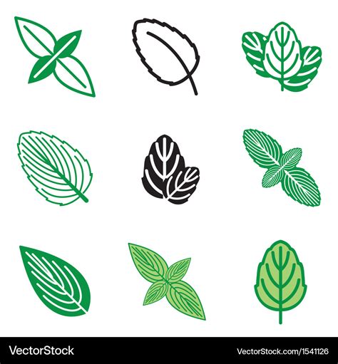 Logo icons mint Royalty Free Vector Image - VectorStock