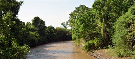 Mago National Park - Enhanced Management and Enforcement of Ethiopia's Protected Area Estate