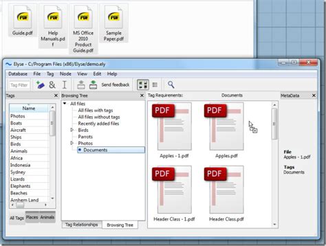 Elyse Is An Efficient Tag-Based File Management Software