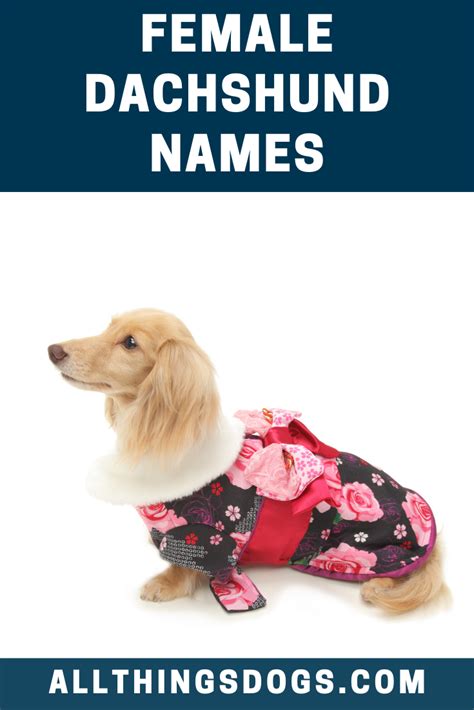 We absolutely love a regal and unique name, like Queenie for your weiner. If you have a ...