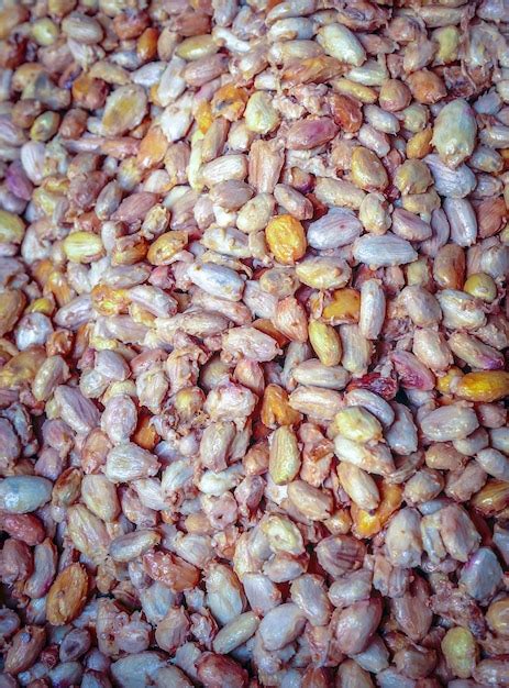 Premium Photo | Fresh cocoa beans or white cocoa seeds in vats to prepare for fermentation ...