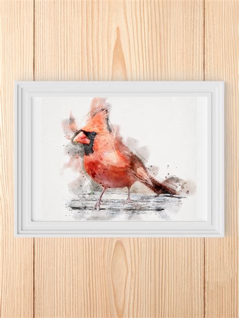 CARDINAL Watercolor Original Cardinal Painting Cardinal - Etsy